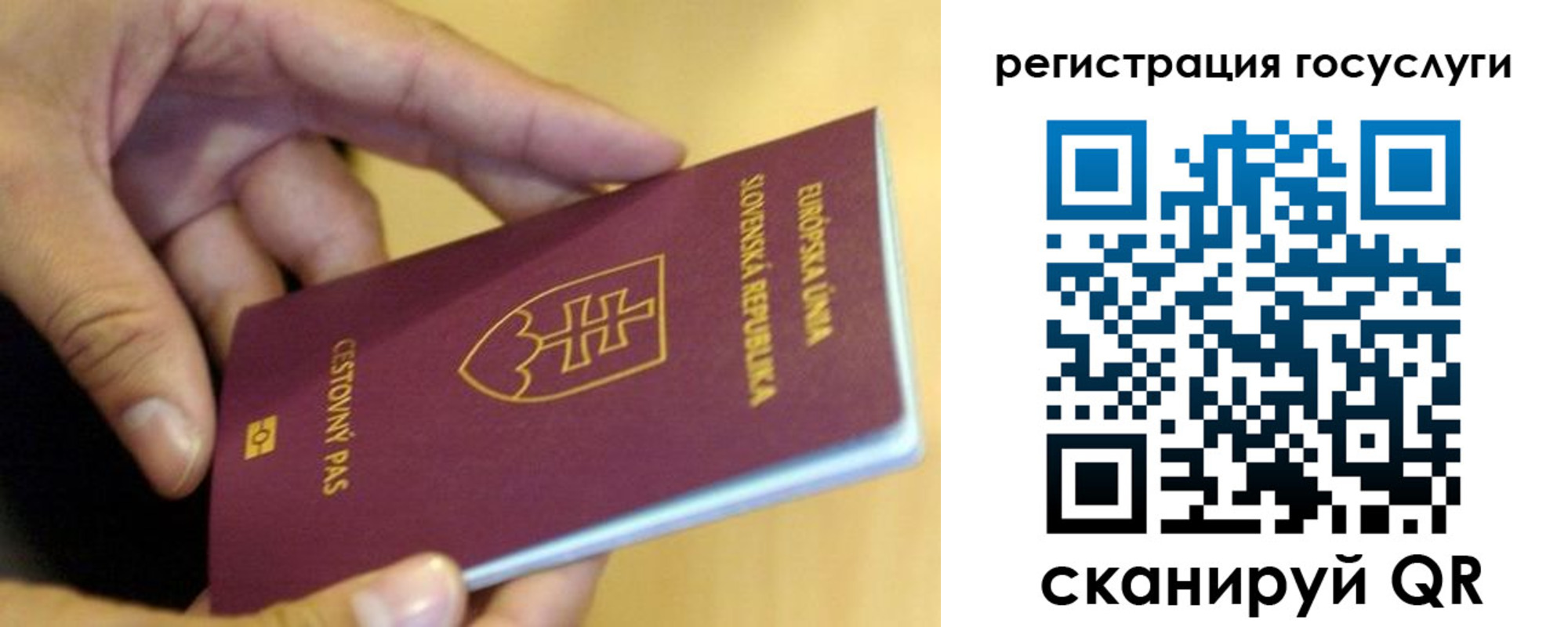 прописка в квартире в Тосно